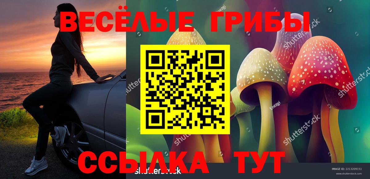 Псилоцибиновые грибы GOLDEN TEACHER Лабинск